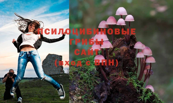 герыч Алексеевка