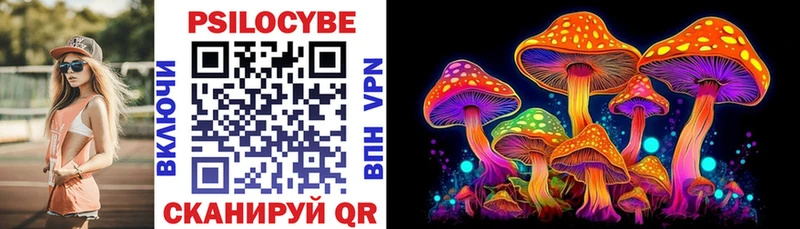МЕГА маркетплейс  Дубна  Галлюциногенные грибы Cubensis 