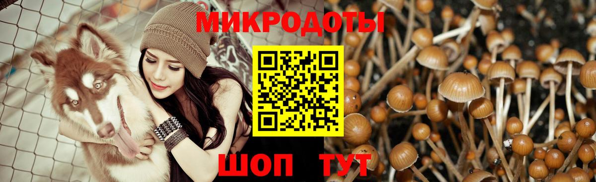 Псилоцибиновые грибы Psilocybine cubensis  Псилоцибиновые грибы мицелий  Вход с VPN  Дубна 